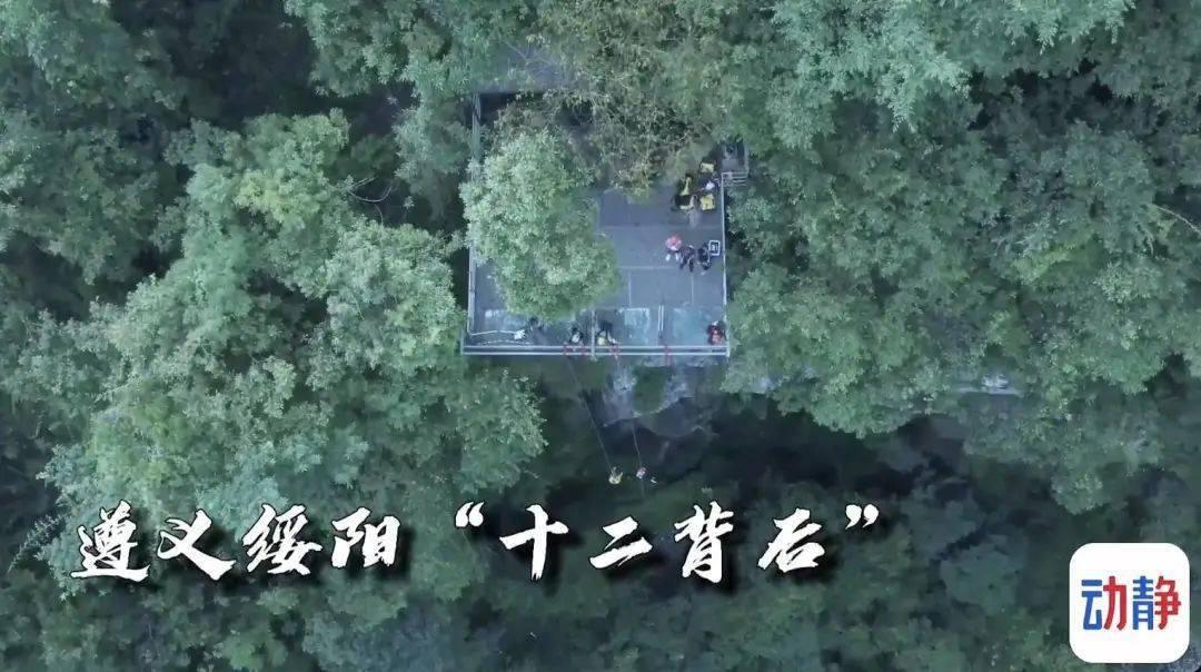 功夫熊猫3手游