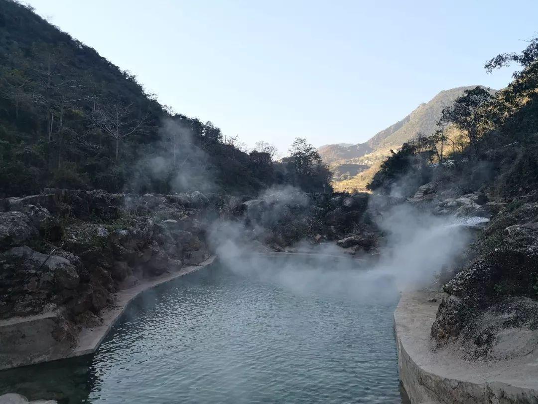 森系丛林