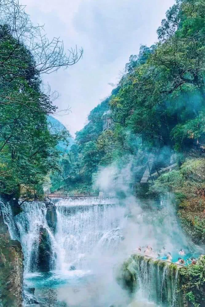 @网友 你的建议“让昆明的花香香遍世界”市人大代表已查收